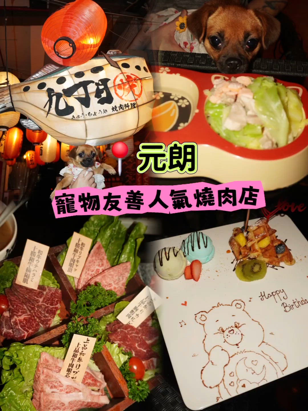 元朗燒肉驚喜🥳！畫碟+寵物友善🐶！生日必去！🎂