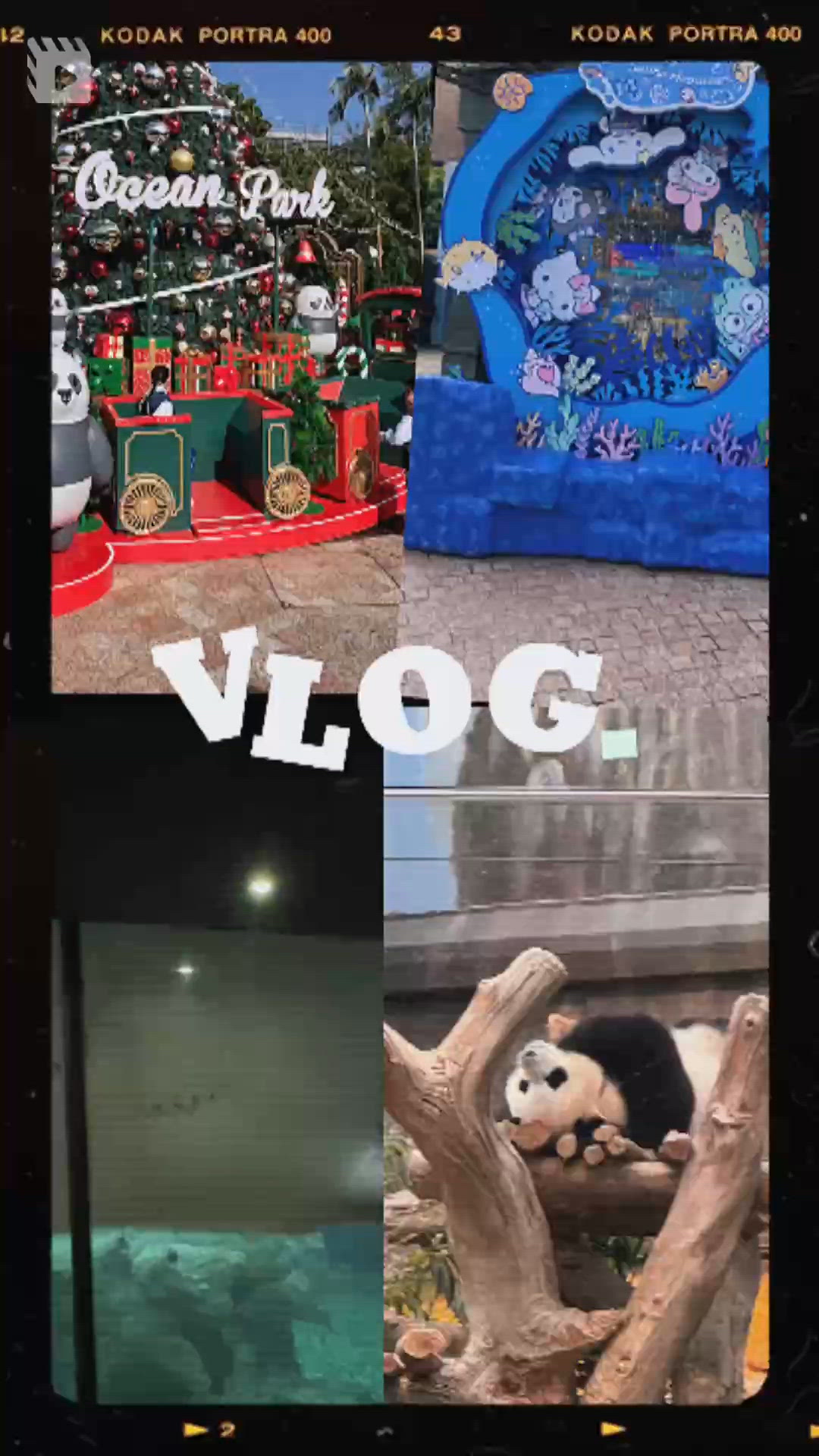 海洋公園聖誕🎄保育🐼🐬🐠🪼之旅