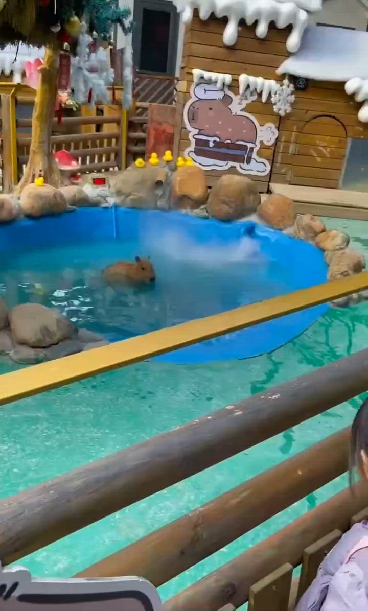 深圳聖誕親子遊！窩窩萌寵樂園😍