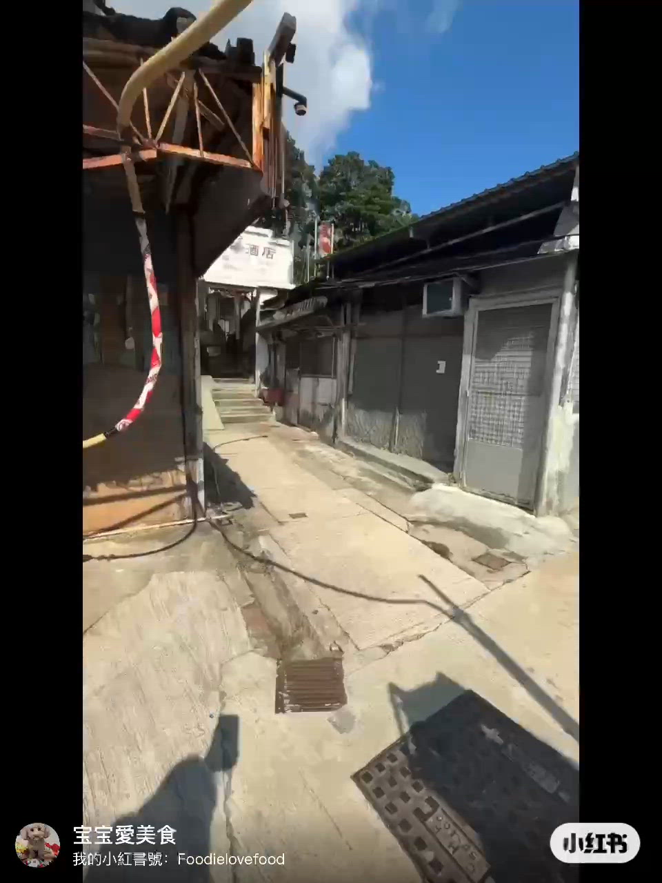 沙田龍華酒店打卡！懷舊粵菜😋！