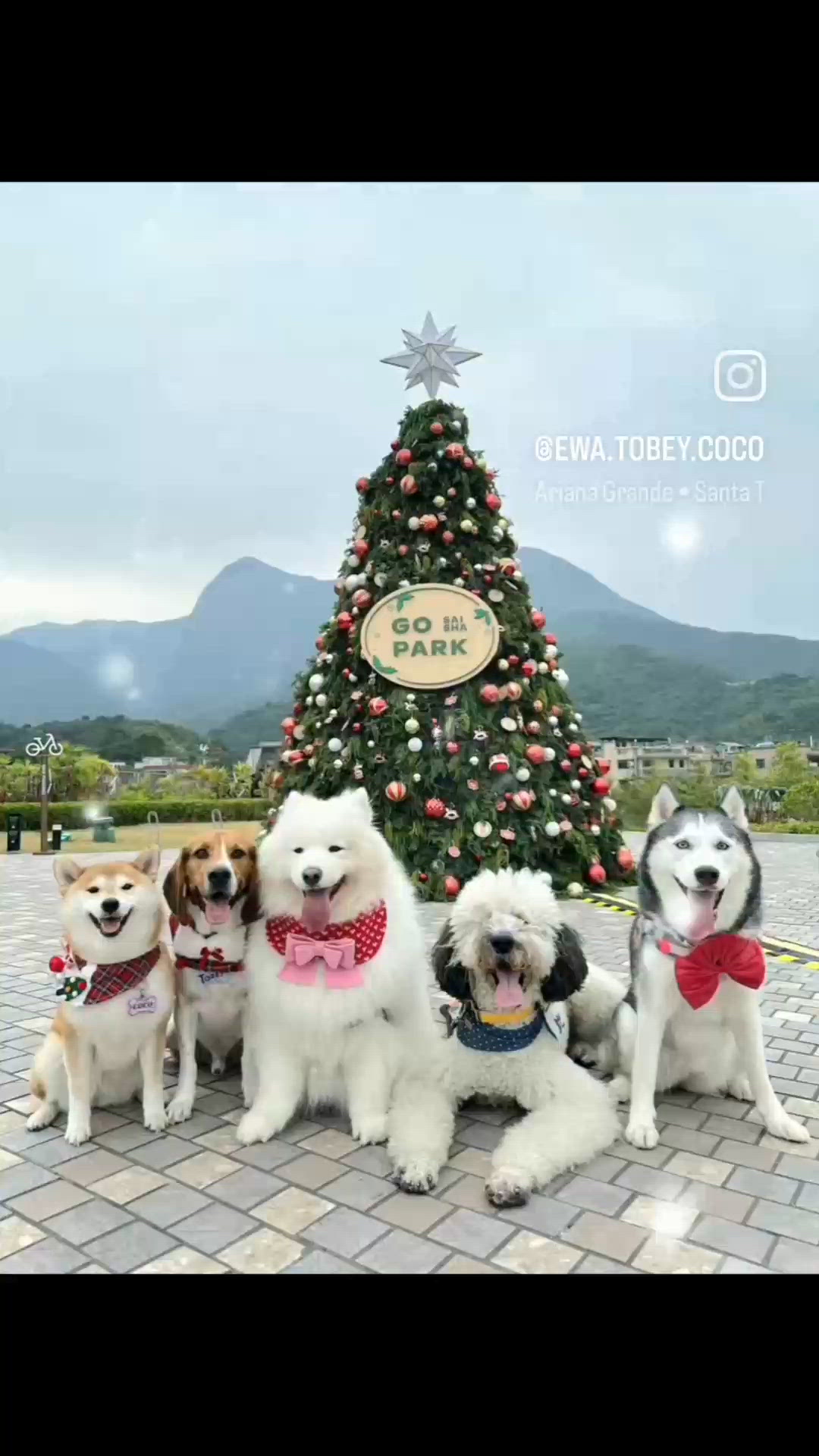 西沙 GO PARK 佈置得好靚呀, 快啲約埋朋友去感受吓夢