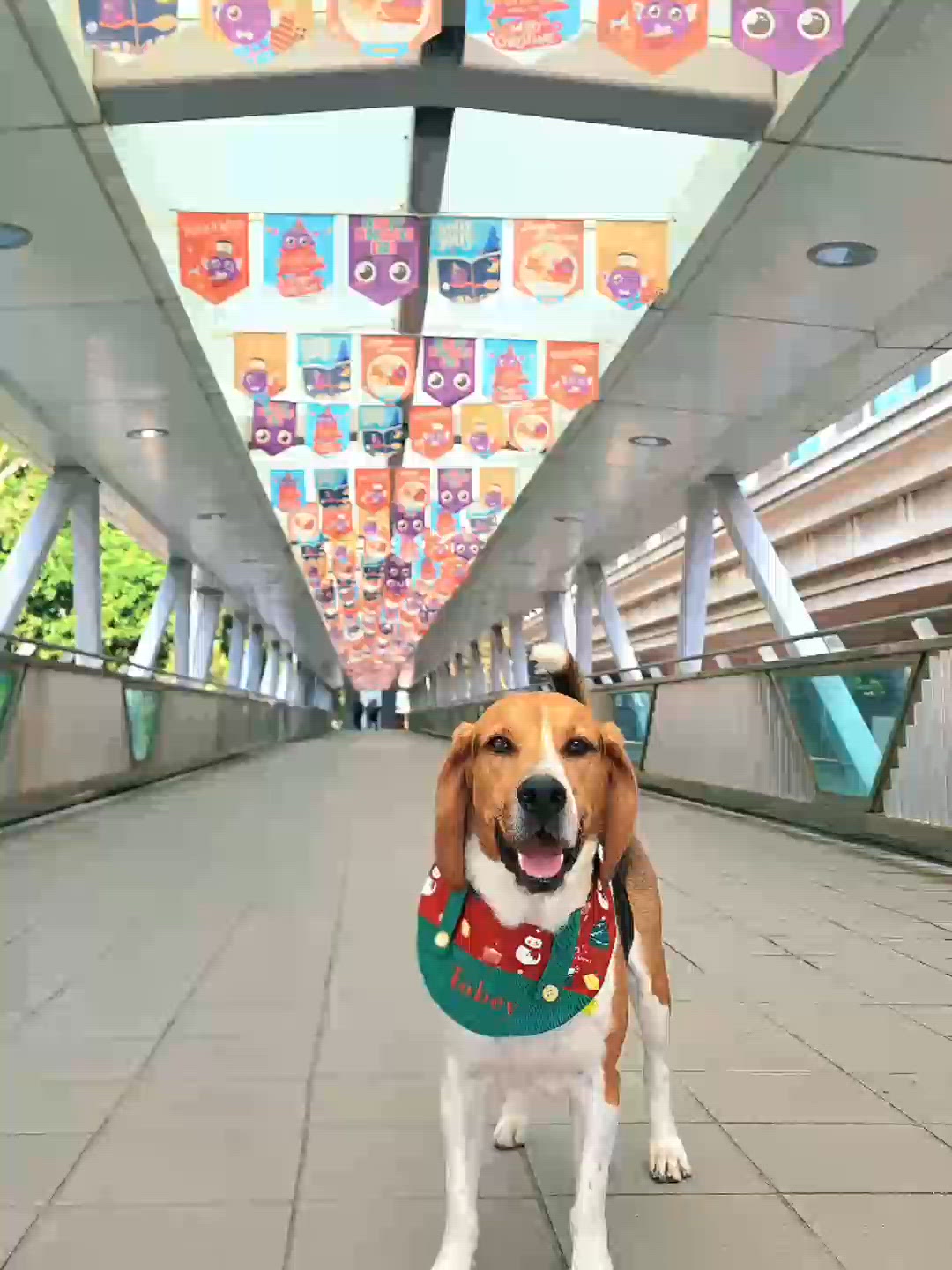 簡單的日常. 陽光灑在你們身上, 一份早餐, 一個陪伴, 就