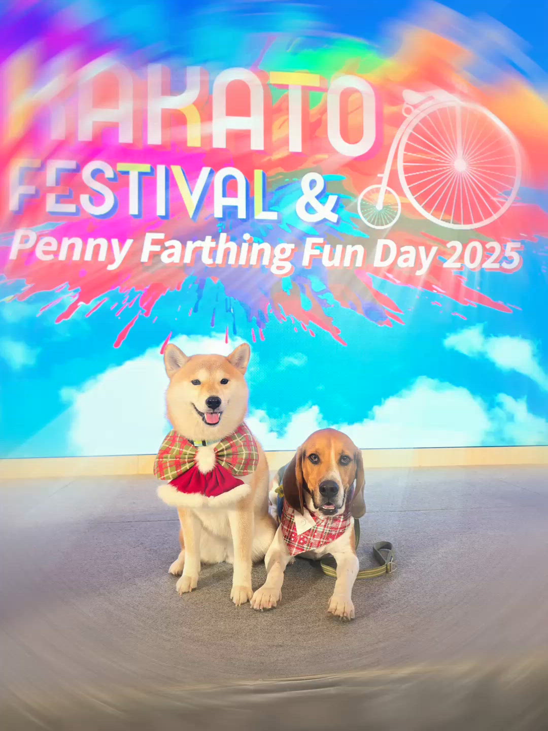 KAKATO FESTIVAL 2025 有咩玩？去睇吓咪知