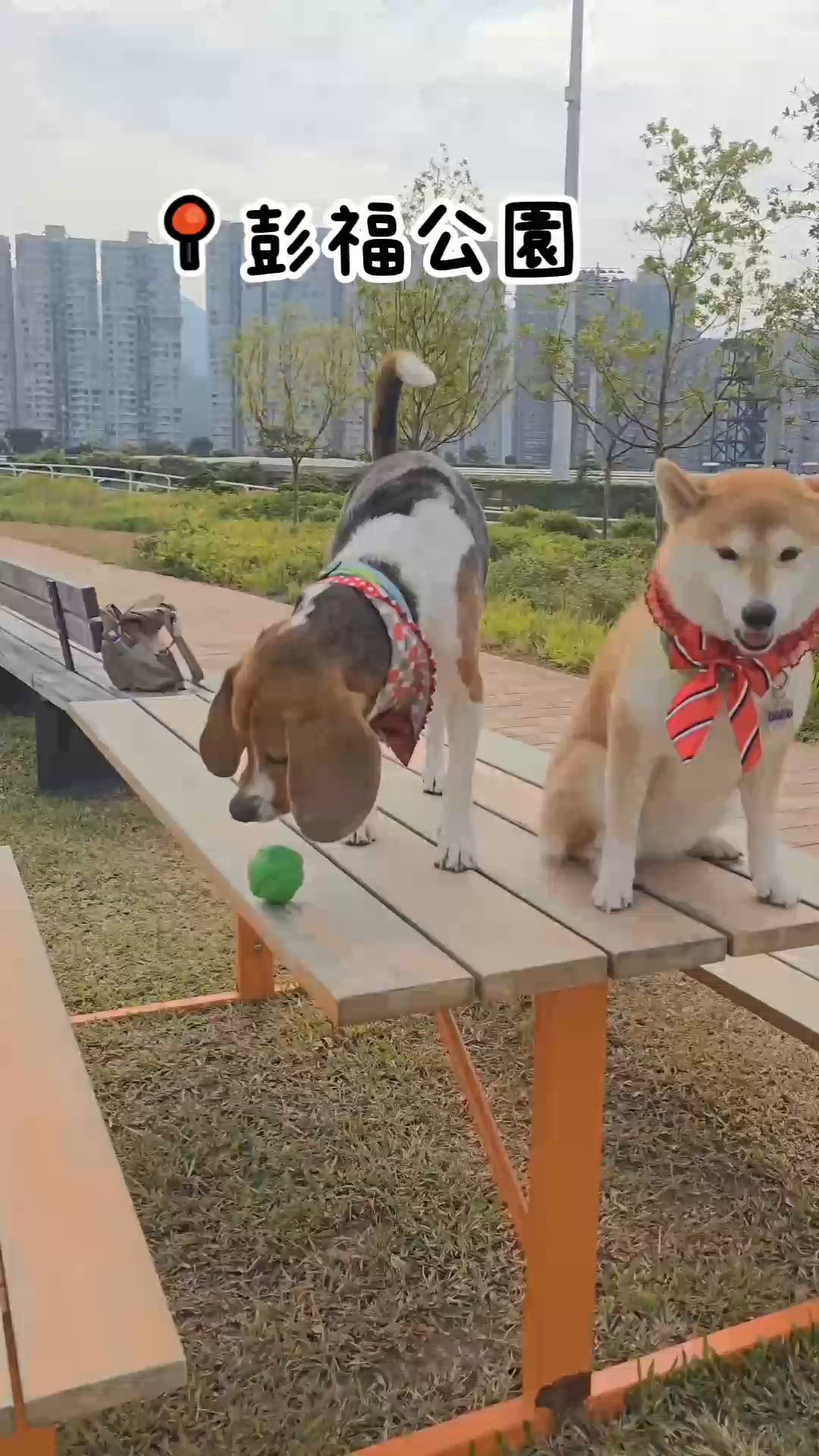 打卡放電好去處