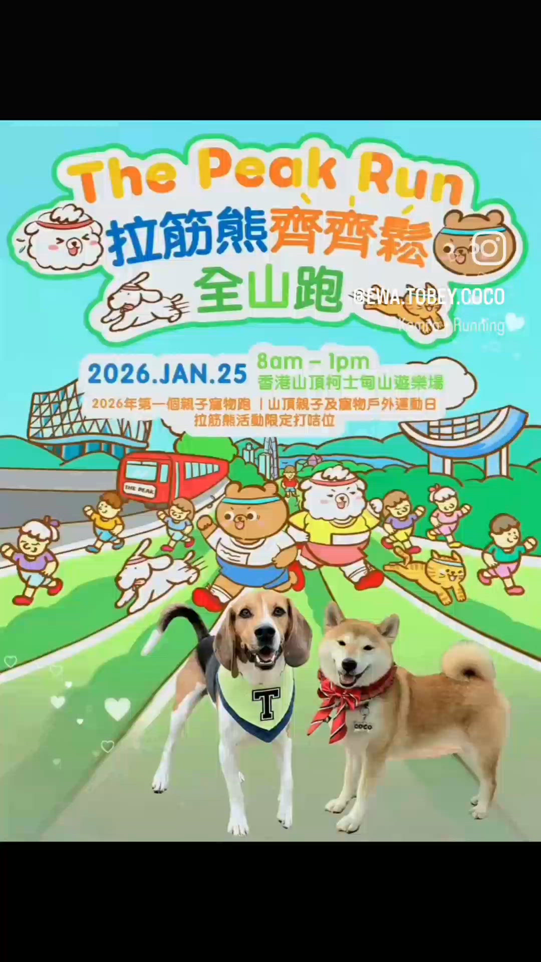 親子寵物拉筋熊。齊齊鬆。全山跑