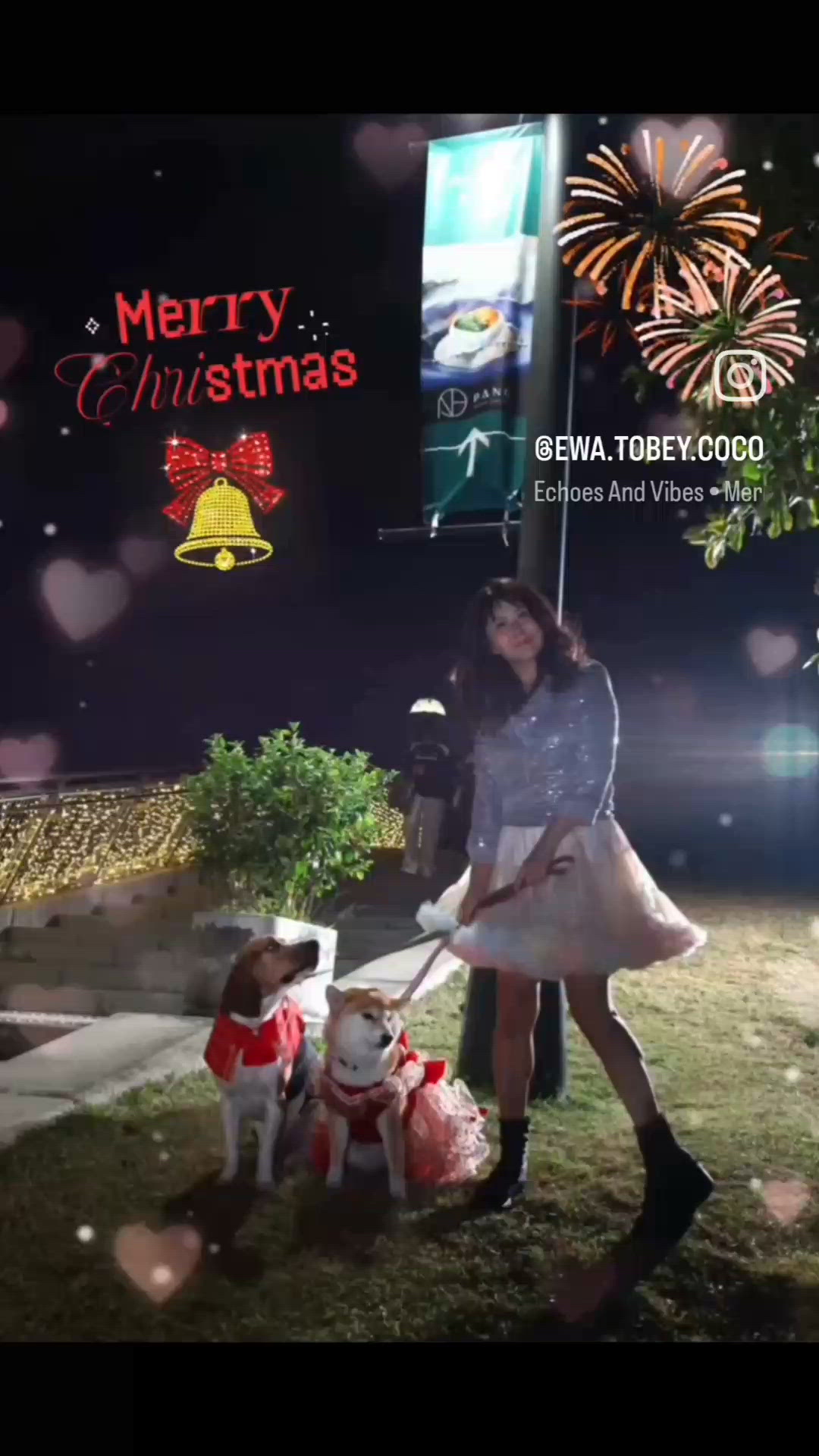 聖誕節打卡熱點