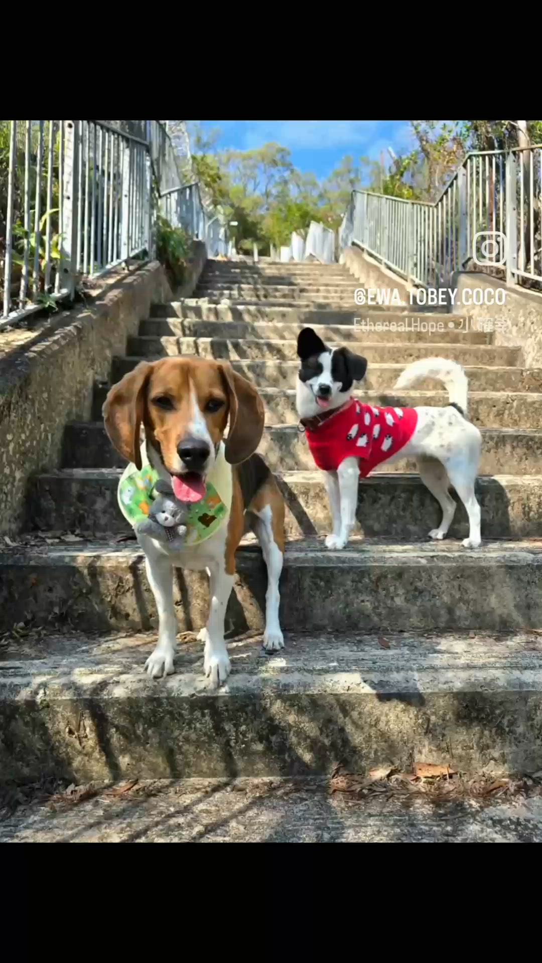 今日嘅行程好豐富, 多謝 @bellelee...