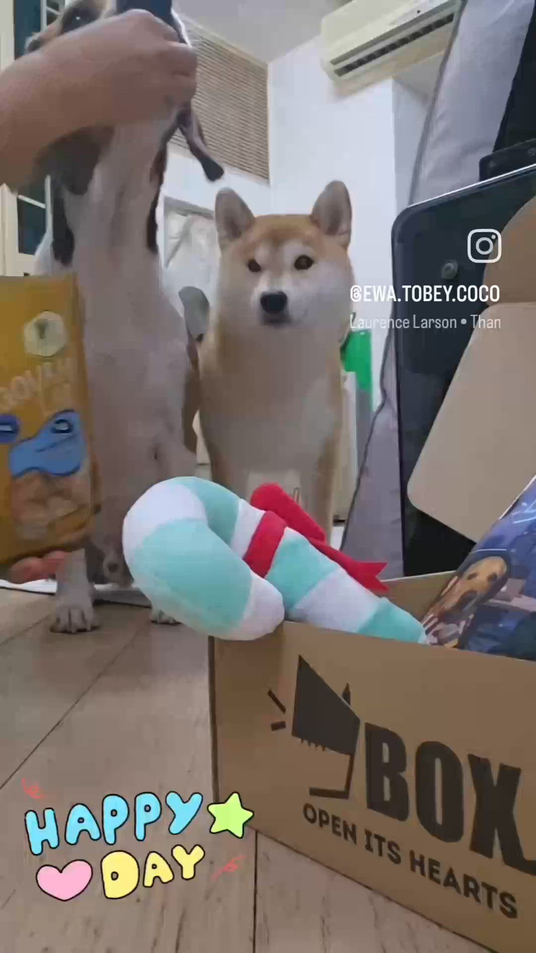 好開心呀, 收到 @9boxdogcom 嘅禮物...