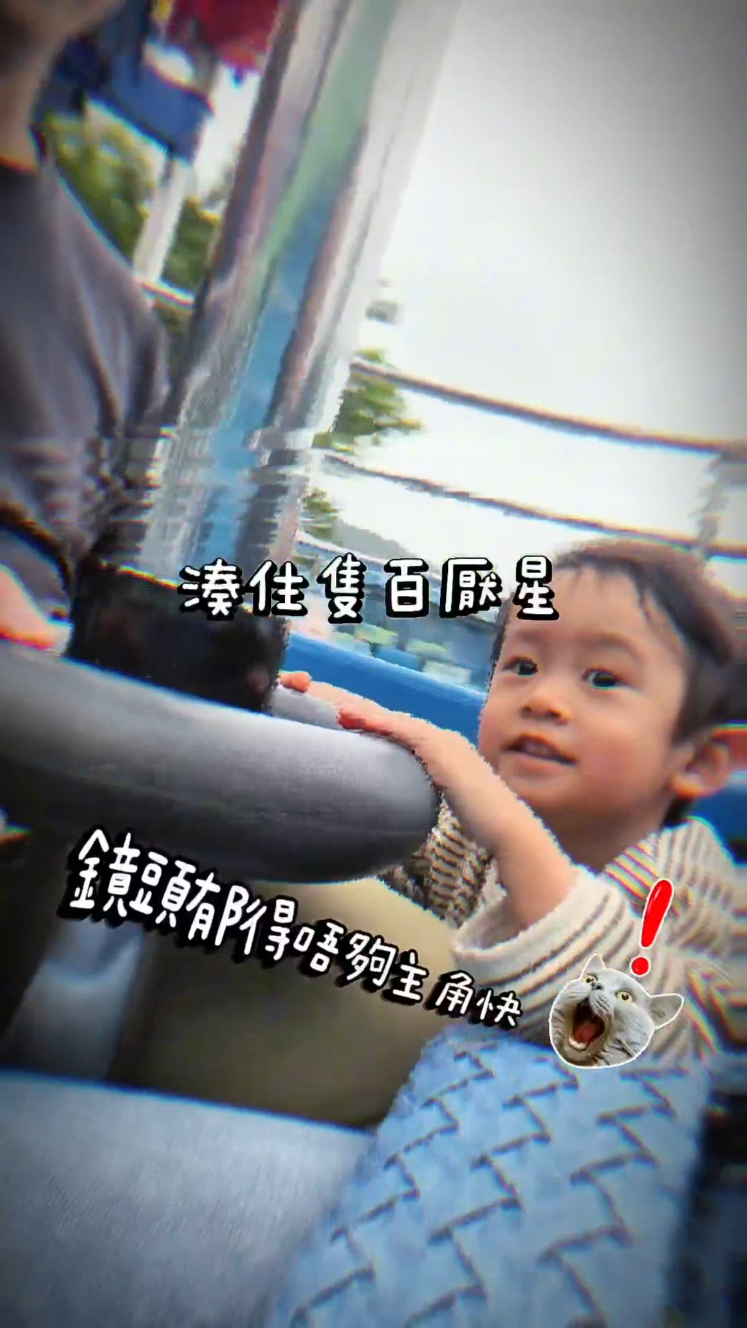 智雲5雲台拍片神器📸 輕鬆捕捉BB萌態👍🏻