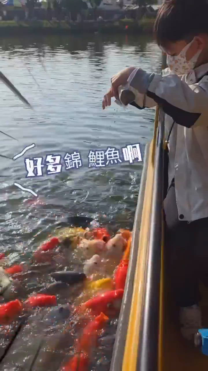 踩水上單車餵魚！🐠💦