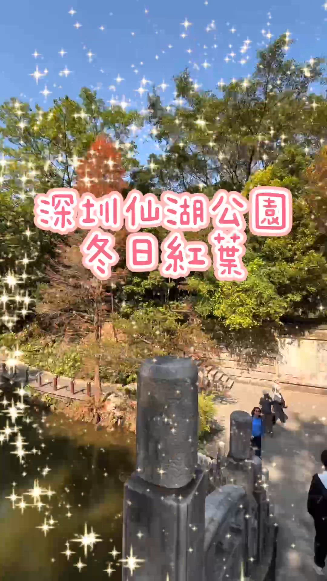 仙湖賞紅葉🍁一家樂悠悠！