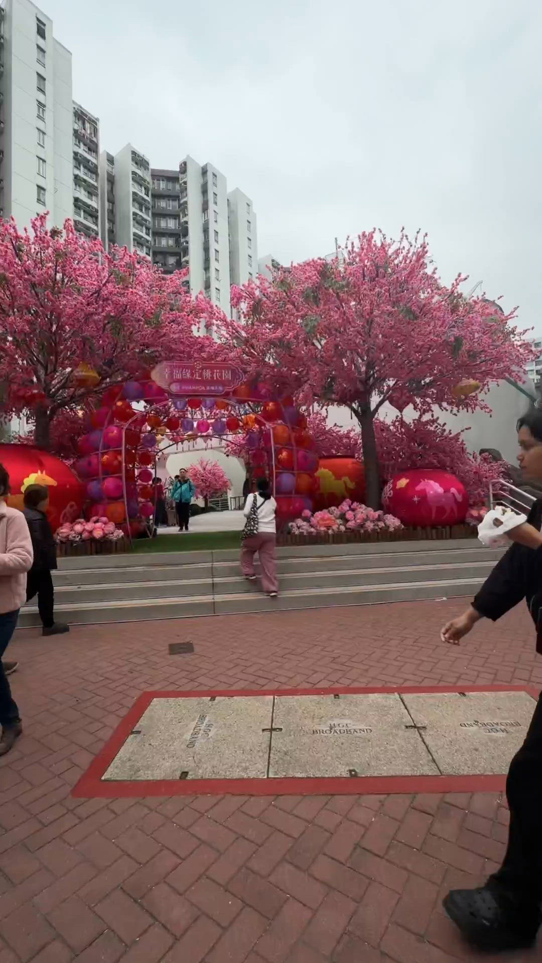 黃埔桃花園🌸浪漫打卡！馬年行大運！