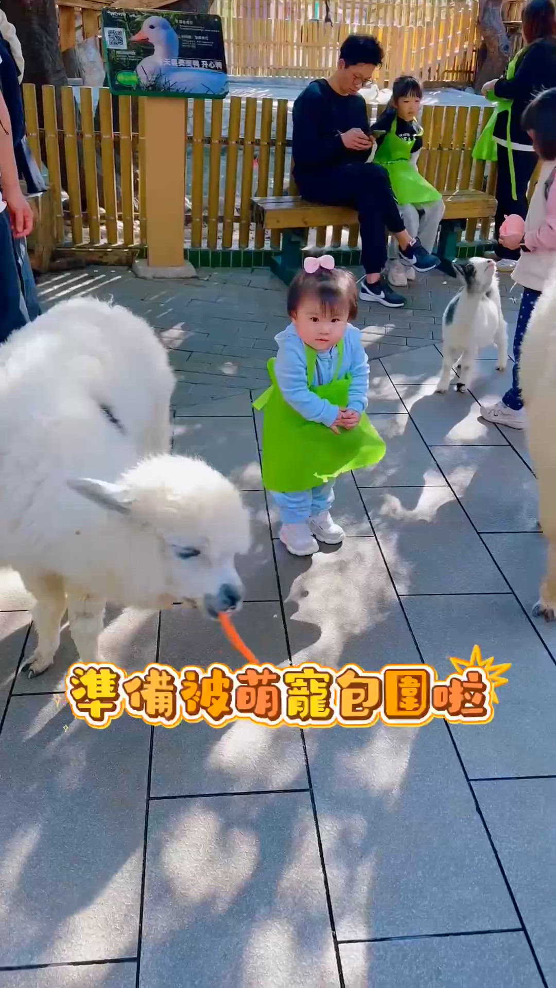 萌寵樂園放電！可愛到尖叫！🥰