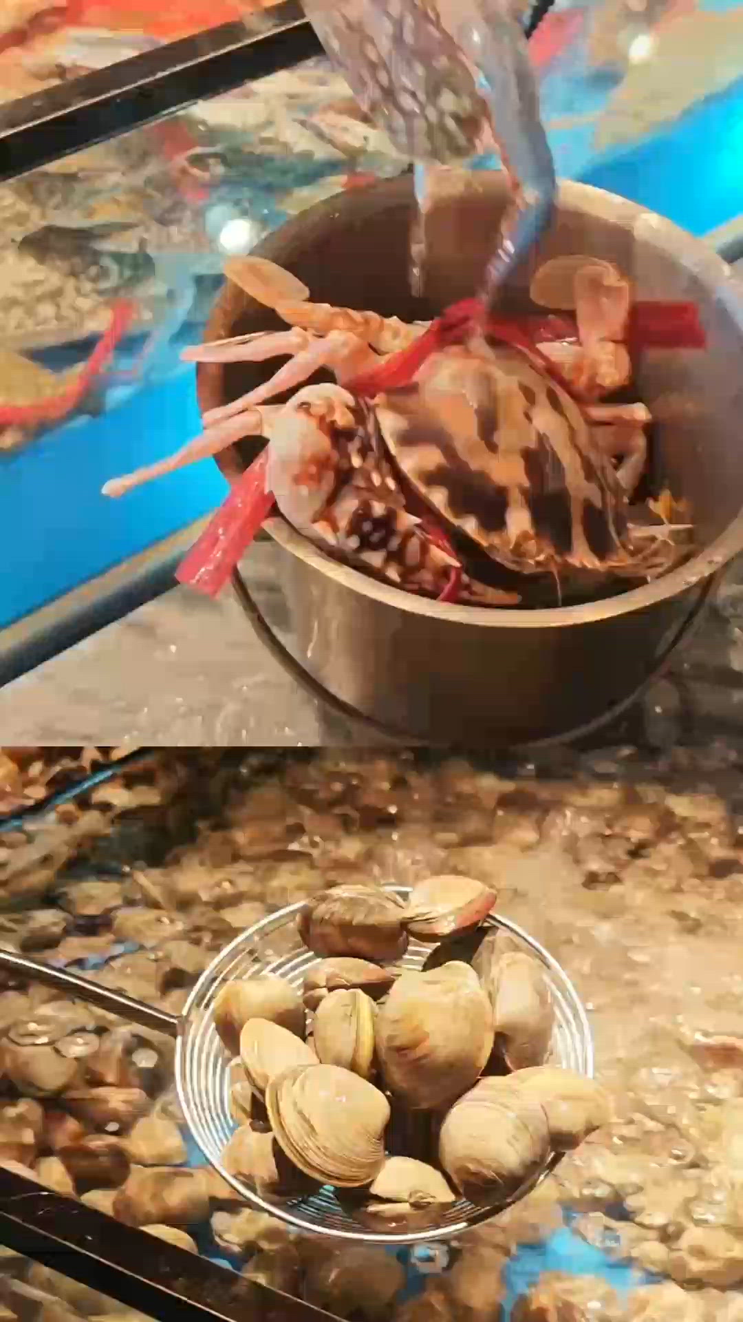 銅鑼灣美人漁！海鮮放題🦀$298值唔值？