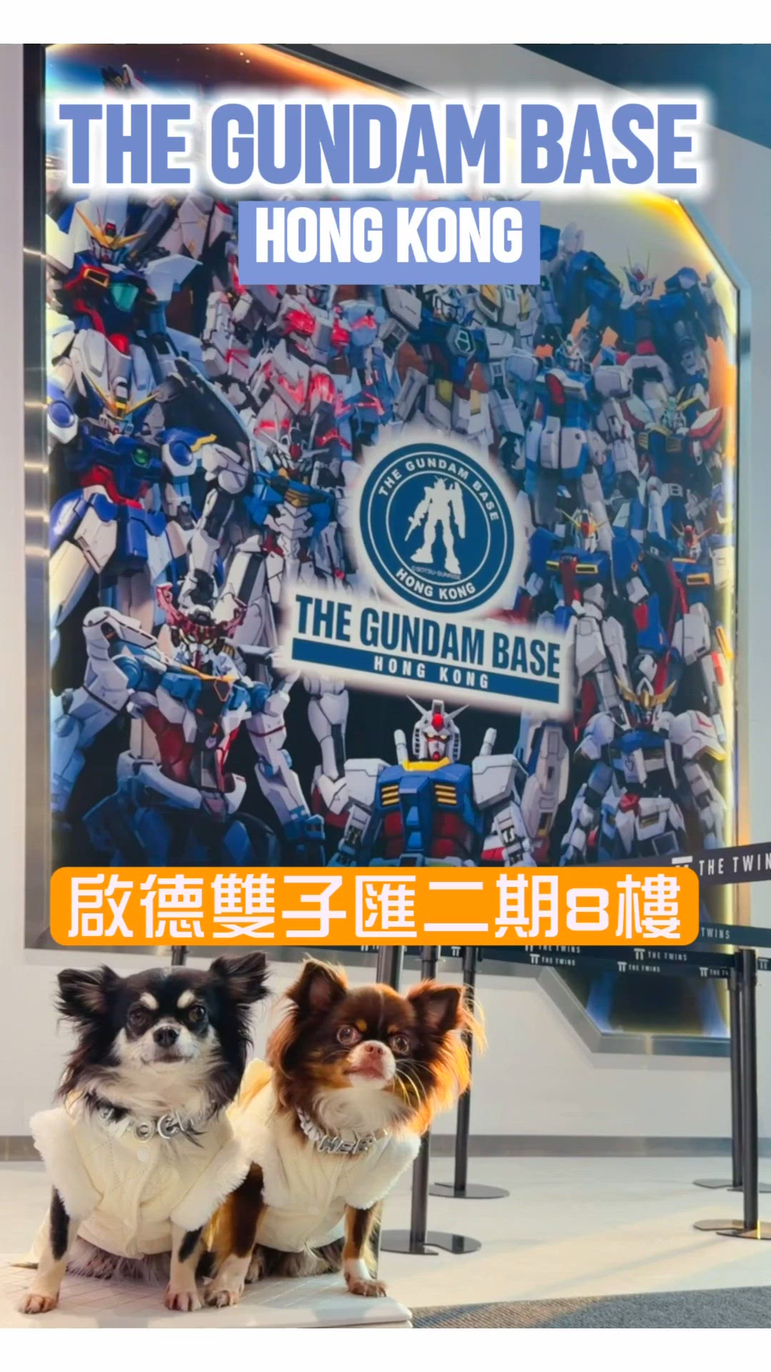 香港首間旗艦店開張！🤩 必睇8米神高達！🤖