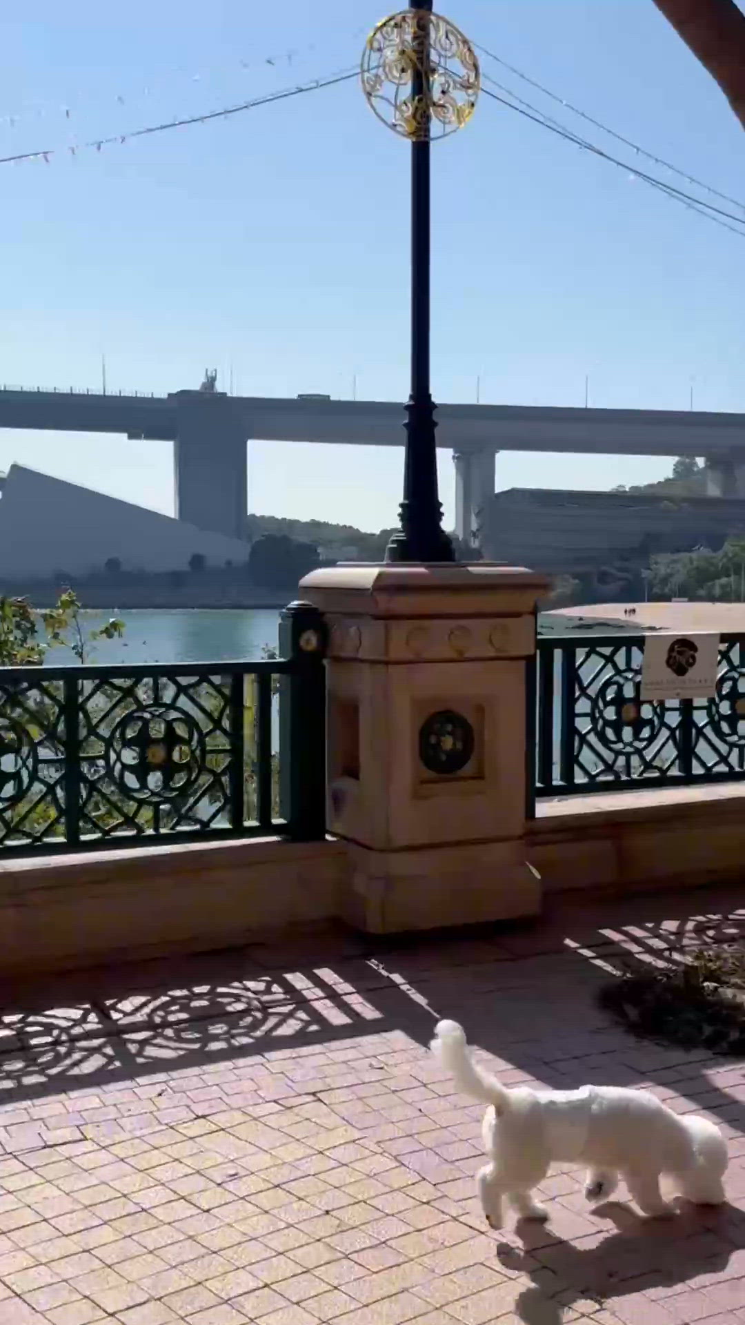 🌊挪亞方舟再玩過!發掘隱藏打卡位+寵物放電天堂🐕 