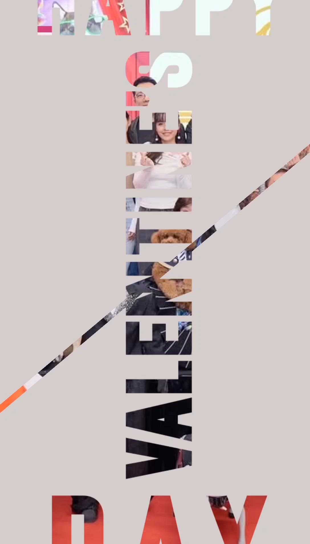 寵物似主人型 · 紅地氈 Petwalk Show