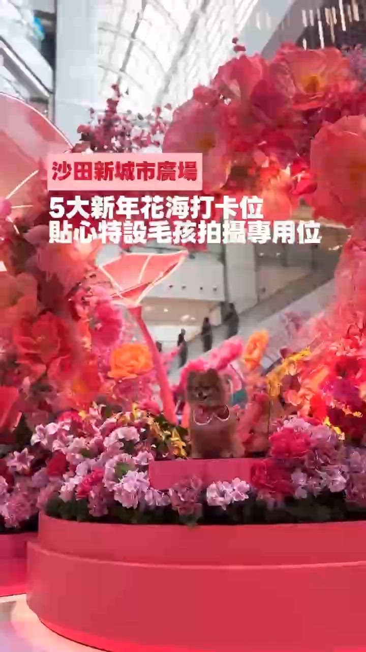 🌸🌺新城市花海新年佈置｜特設毛孩打卡專用位置🐶🐱