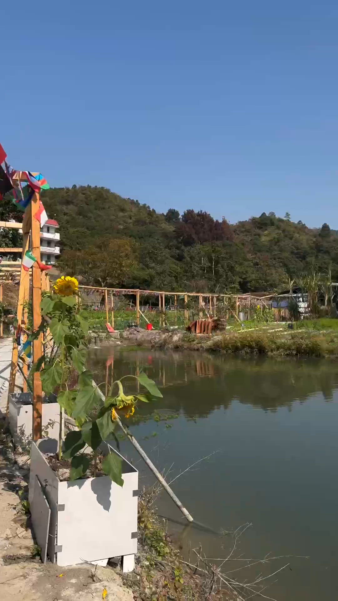 農莊驚喜！🍓士多啤梨放題吃到飽！😋