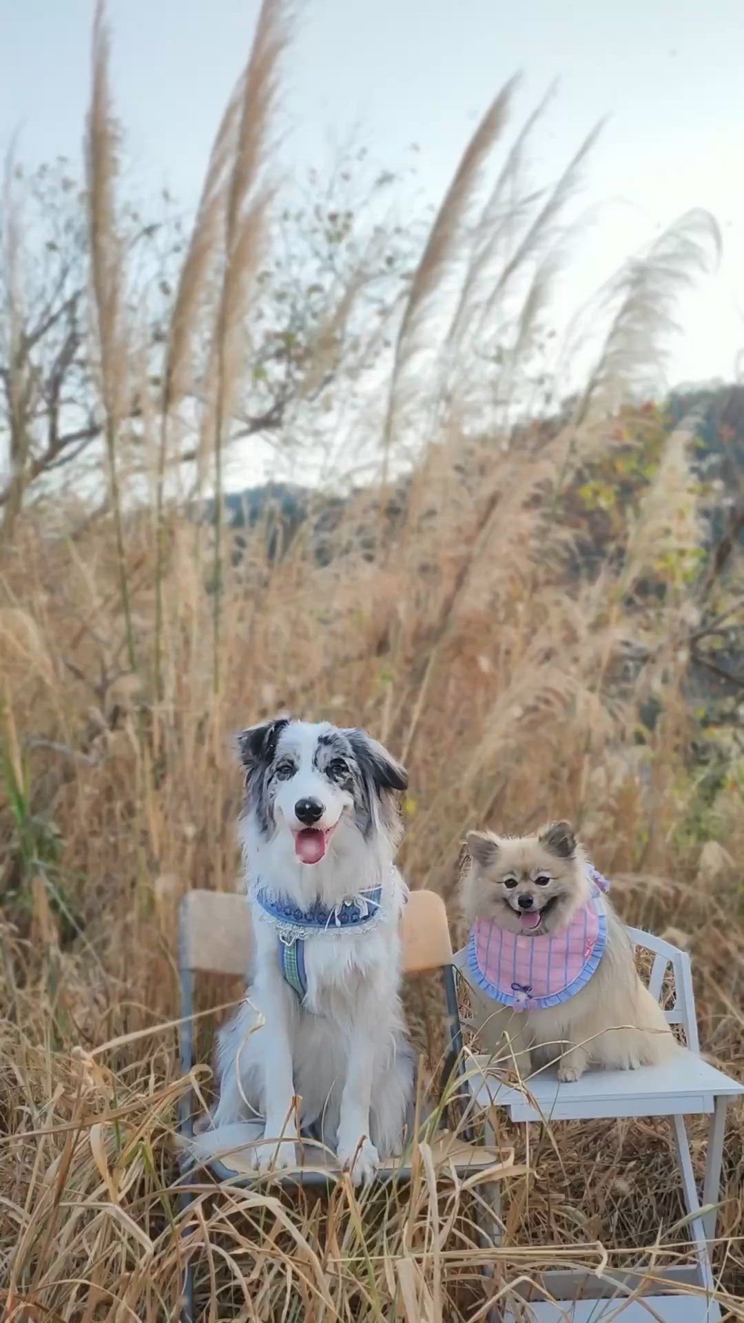 青春就是要盡興