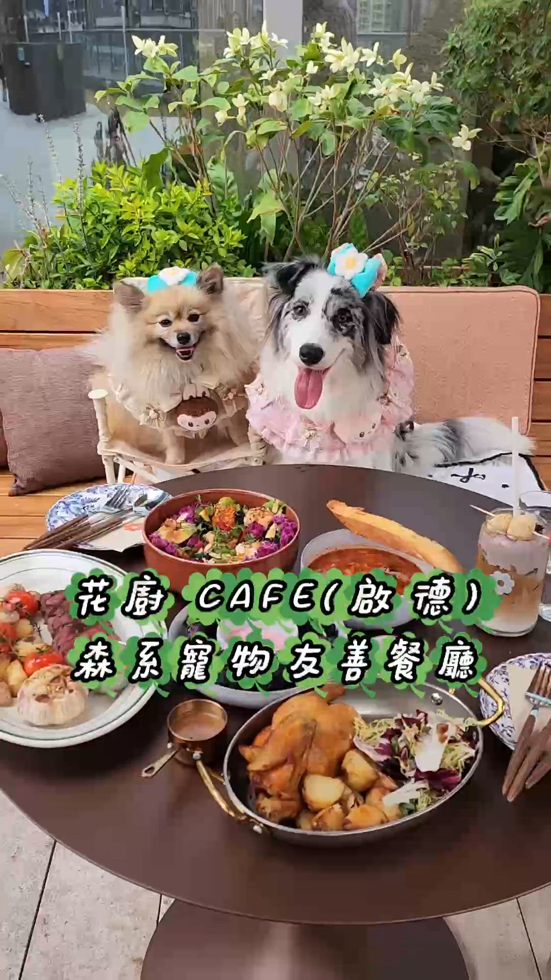 啟德新開森系寵物友善餐廳