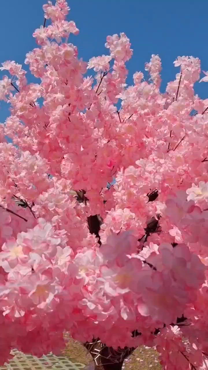 原來香港有咁靚嘅地方😍