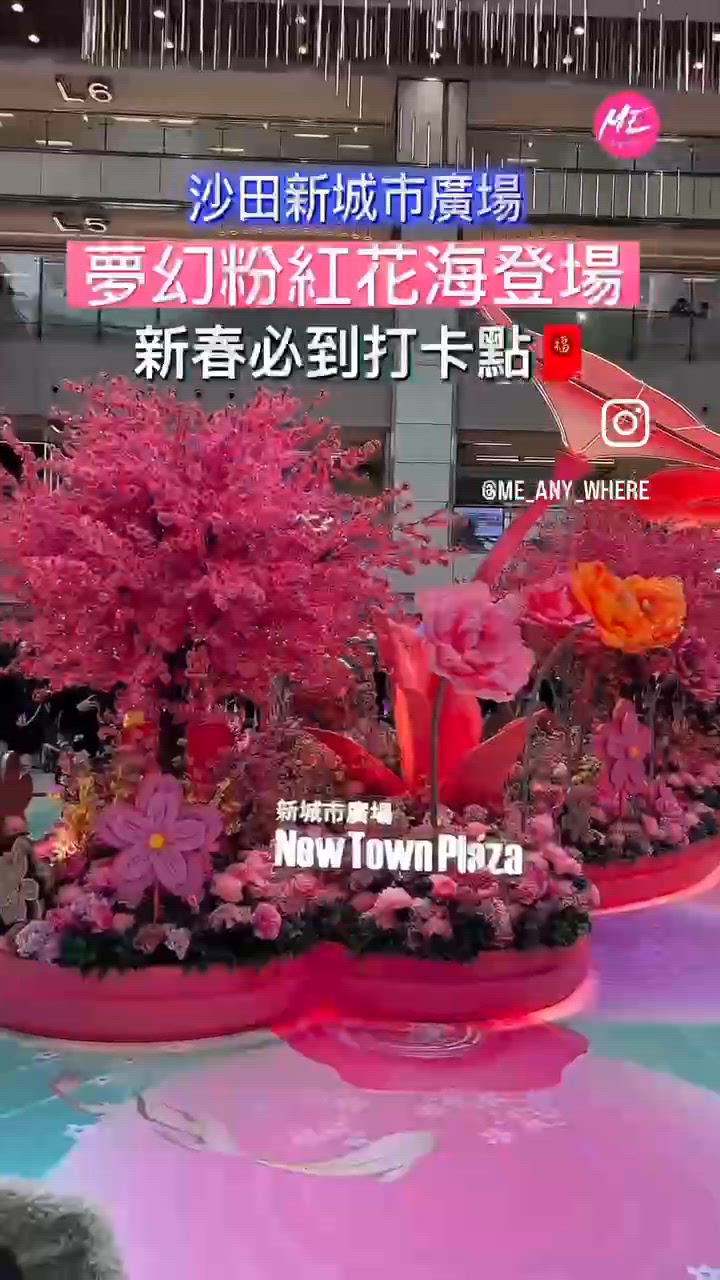 🌸新春必到!沙田新城市🌸花開結緣･風生水起