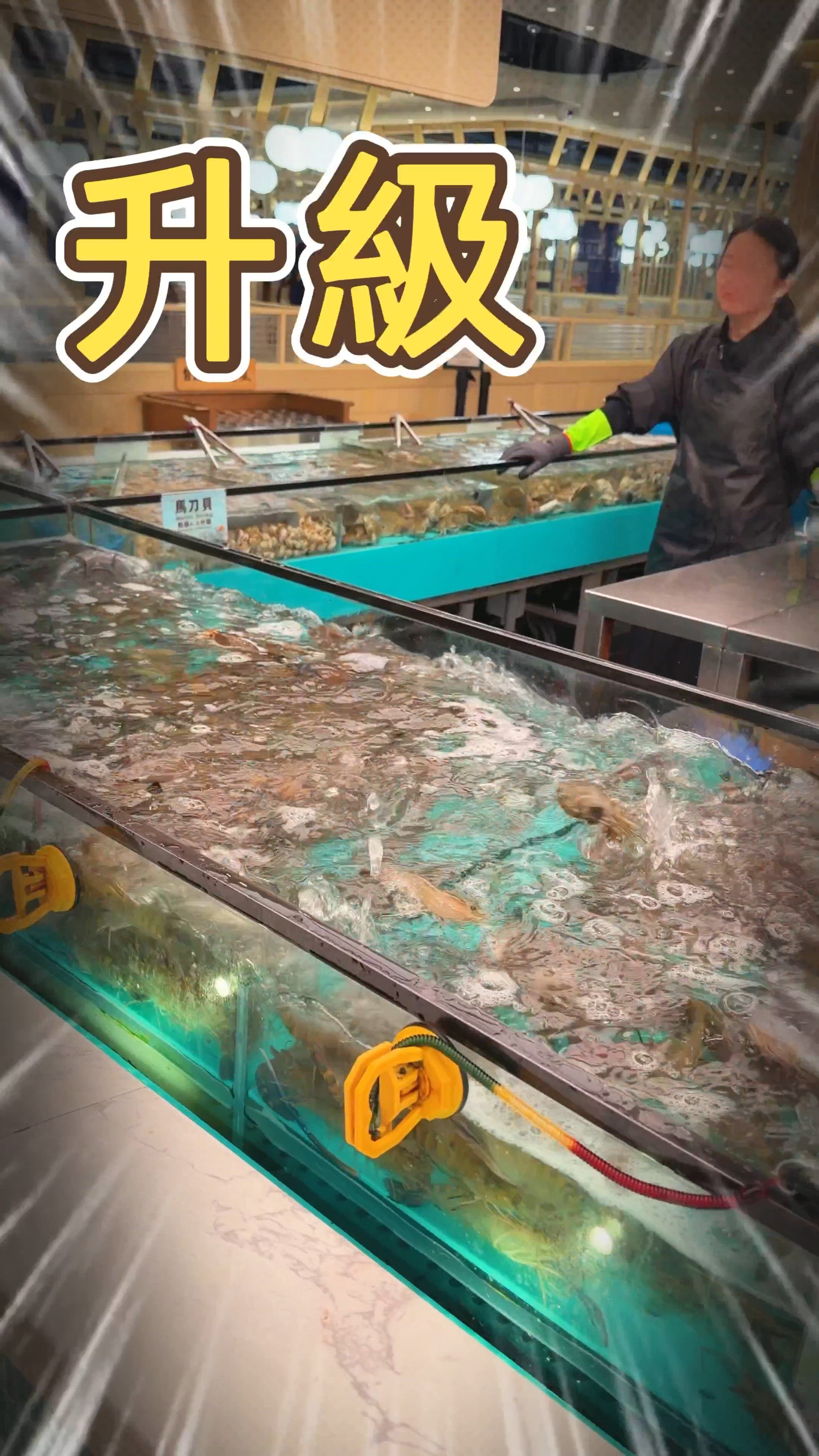 🎏千海又升級喇‼️$308平日午市任食4小時💥