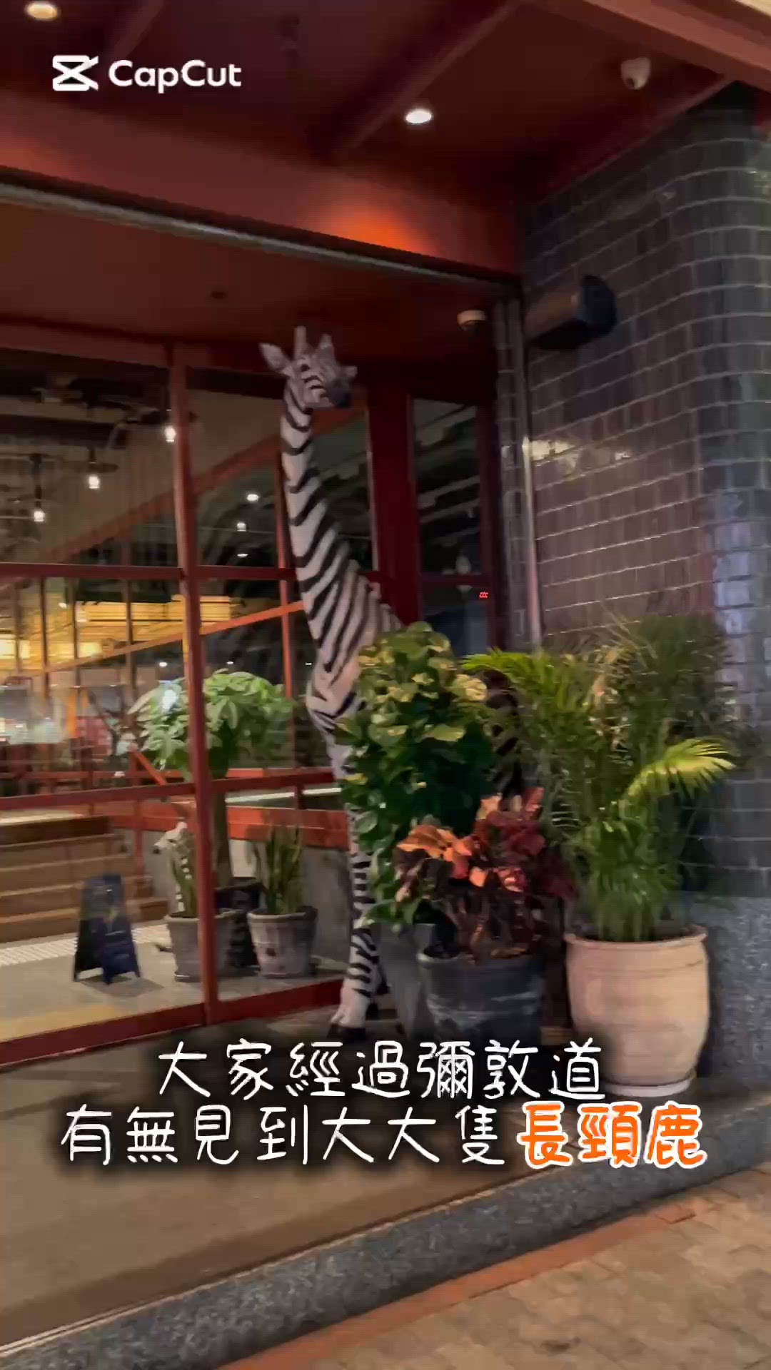 🇭🇰【佐敦墨西哥甜品同港式fusion意粉】