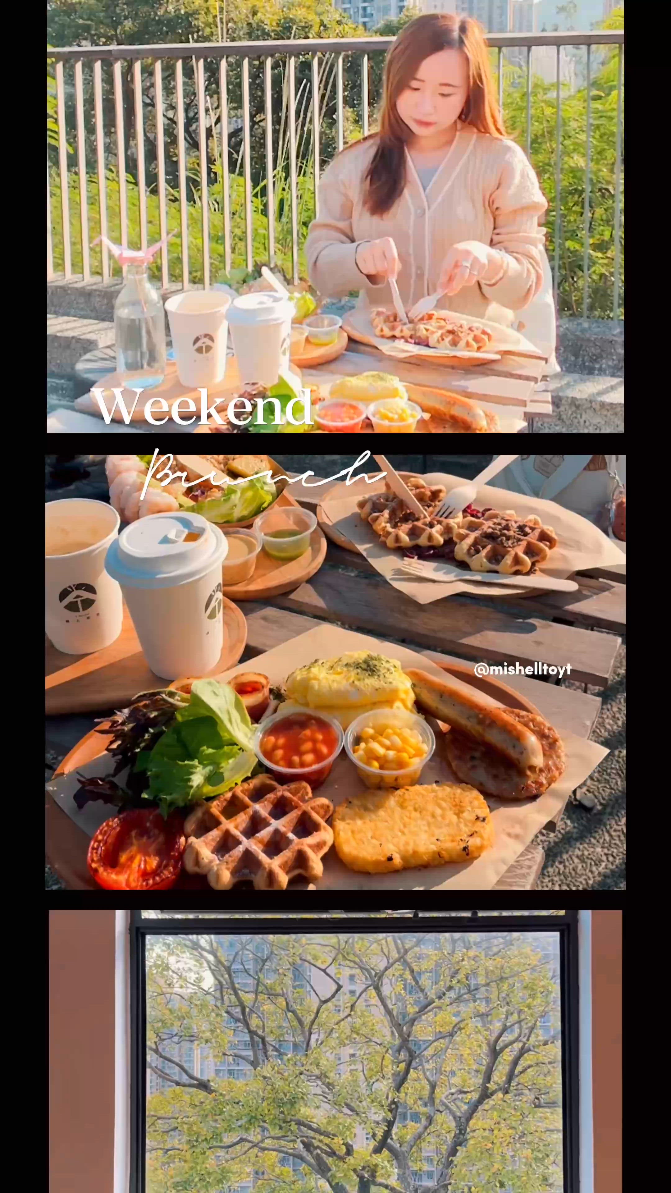 🐈主子友善 Cafe！ 將軍澳山景Cafe☕️ 