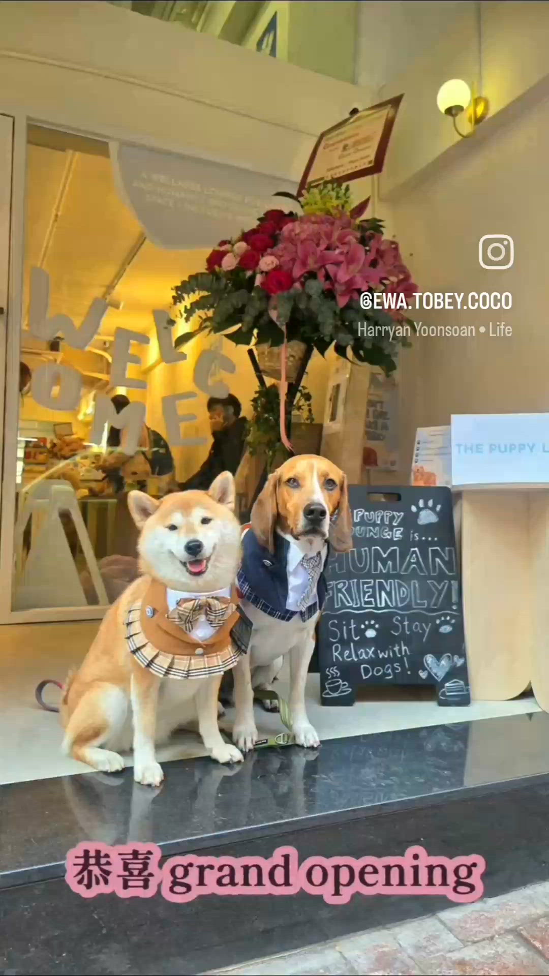 感謝邀請出席你地嘅 Grand Opening.
The P