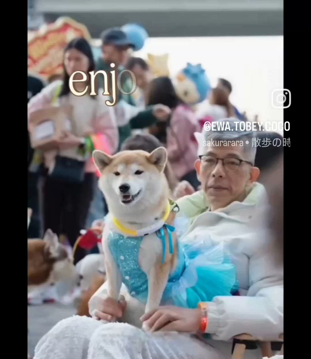 早前出席咗個寵物友善街頭音樂節, 氣氛幾好喎, 又可以同 t