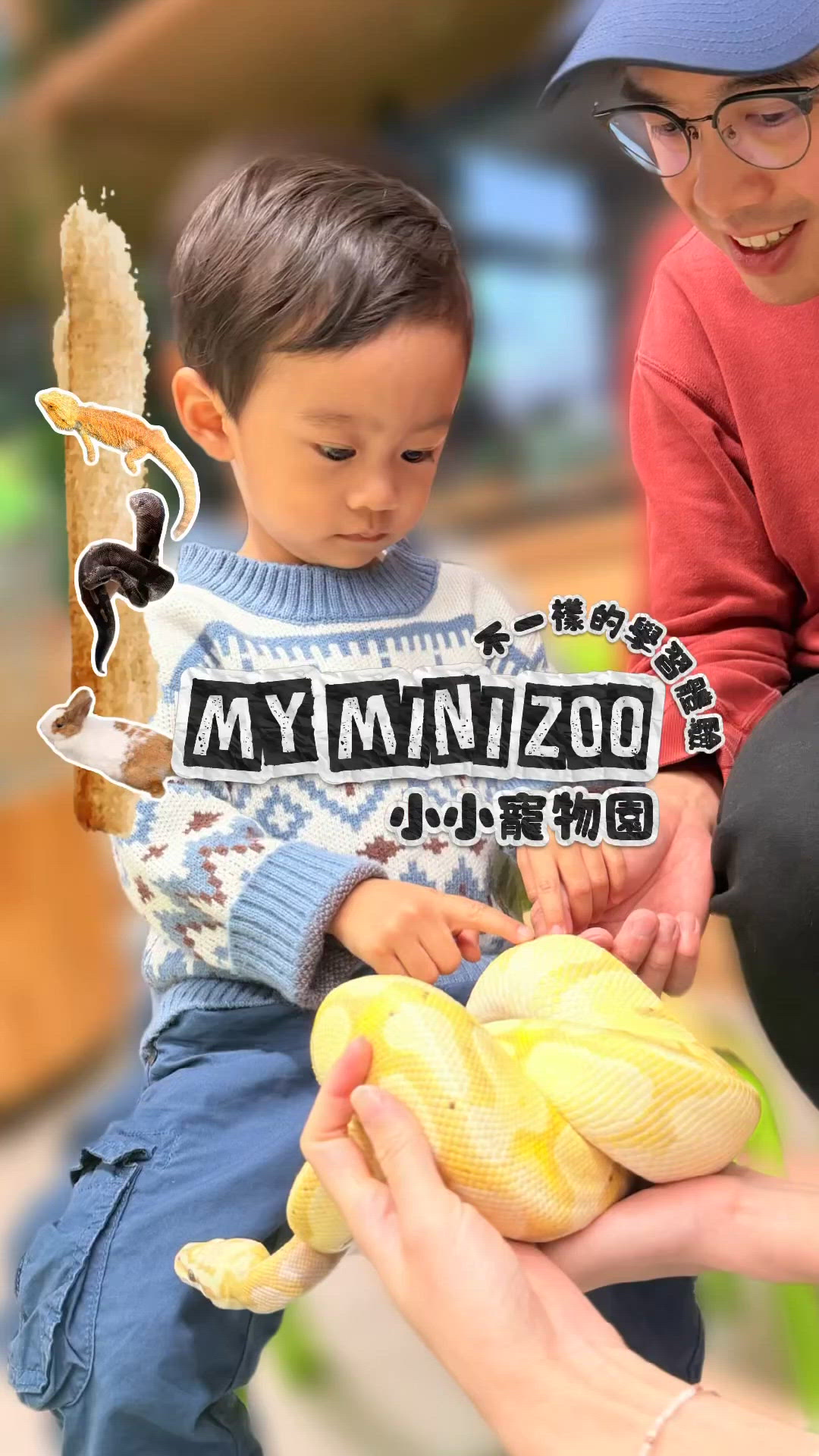 Mini Explorer 的小小寵物園探險記！🦎🐍🐇🐢🕷️