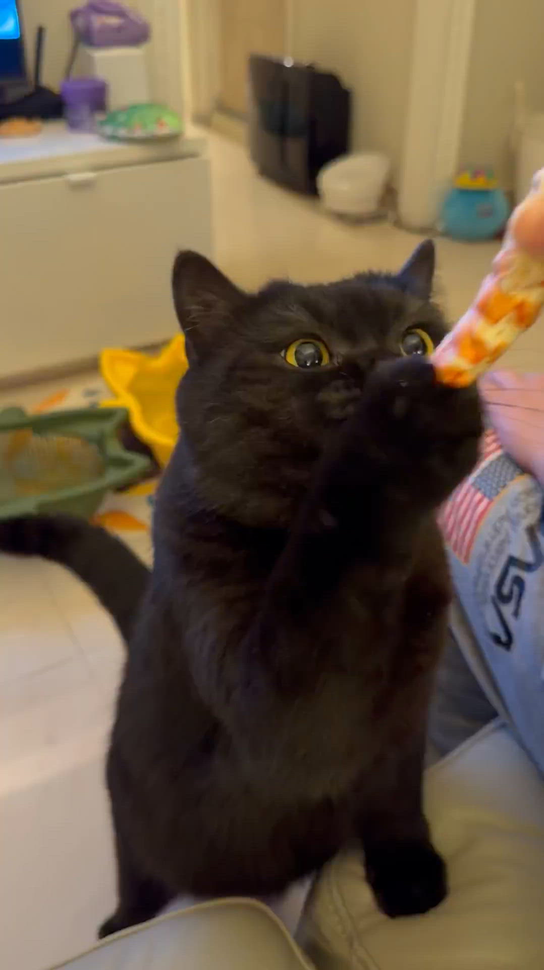 禾深夜滅蝦🦐🙂‍↔️