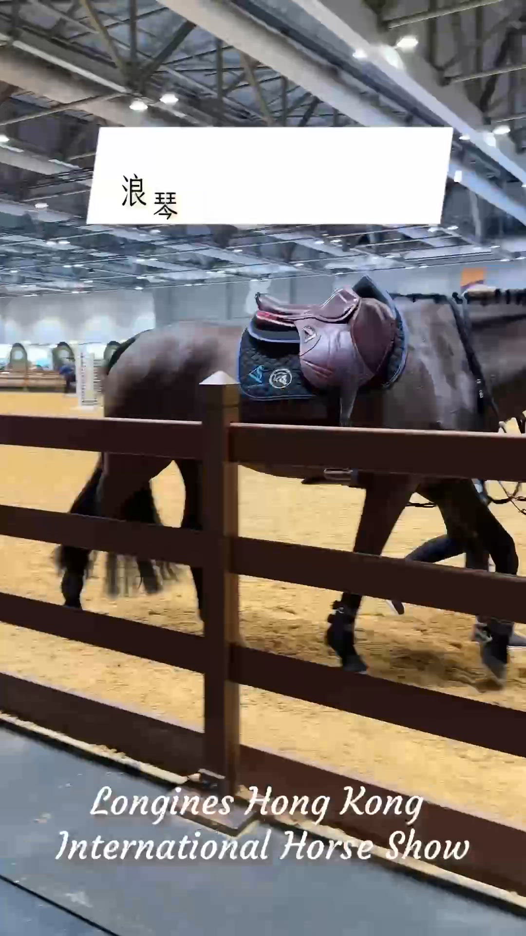 香港國際馬術盛典🐎勁精彩🥳