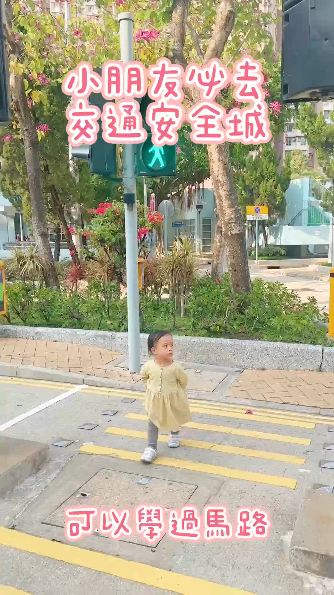 🚦🚏交通安全城！免費放電🚲🛴