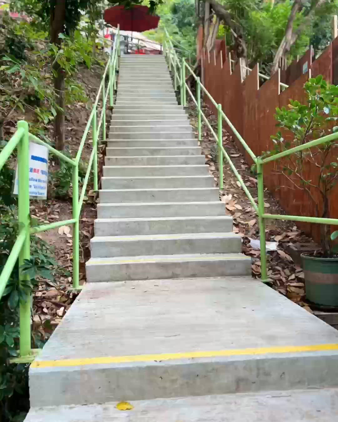 主教山秘境⛰️百年地下蓄水池！🤩