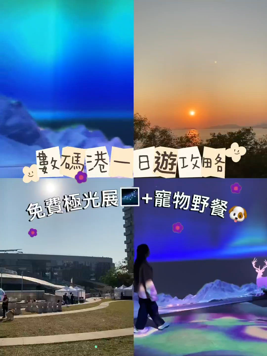 放假去數碼港！免費極光 🤩🐶