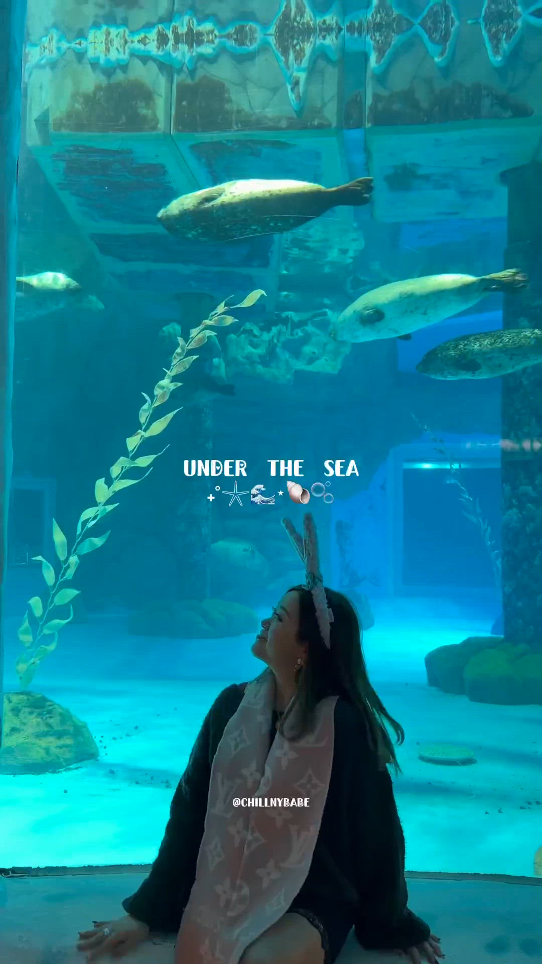 海洋公園拖6年！企鵝🐠💙 激冧你