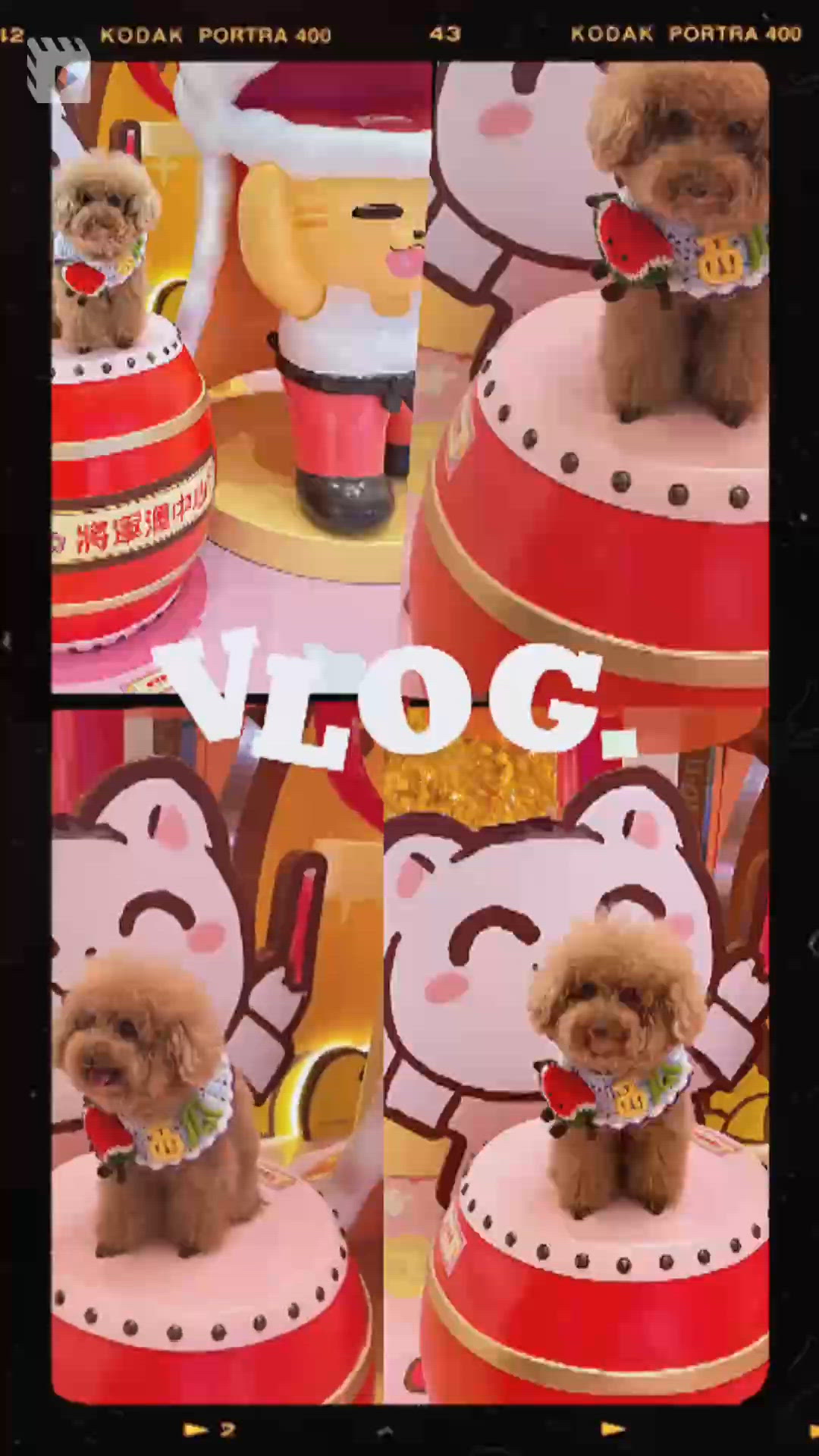 🧧將軍澳中心X柑柑貓萌竉賀馬年🐎