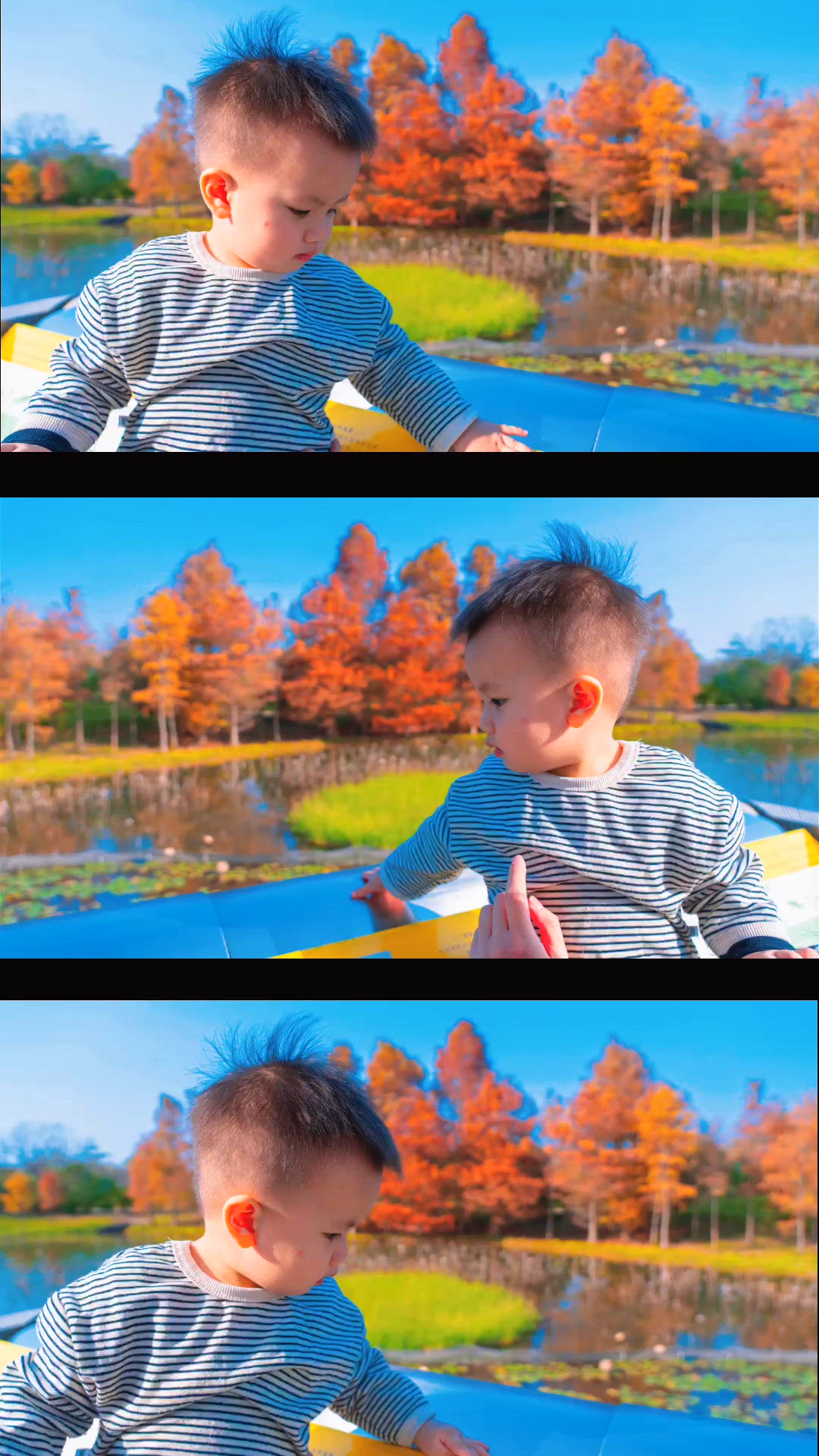 濕地紅葉📸🍂✨