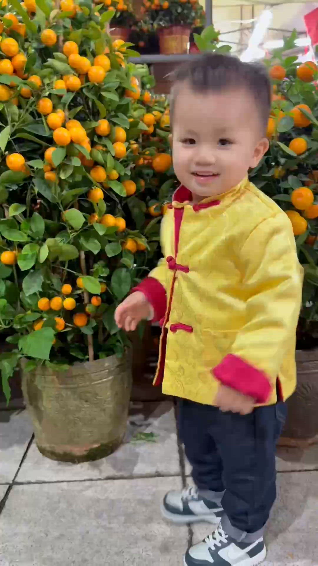 花市初體驗 🍊🏮