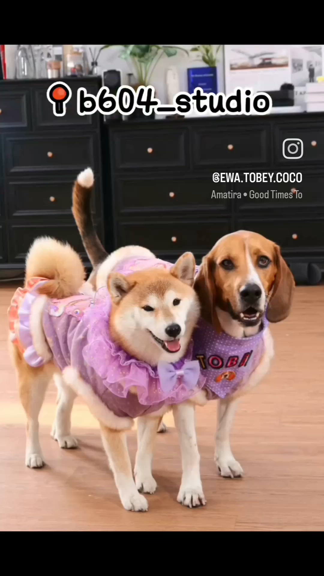 柔光漫射, 快門輕語. Tobey Coco 我的...