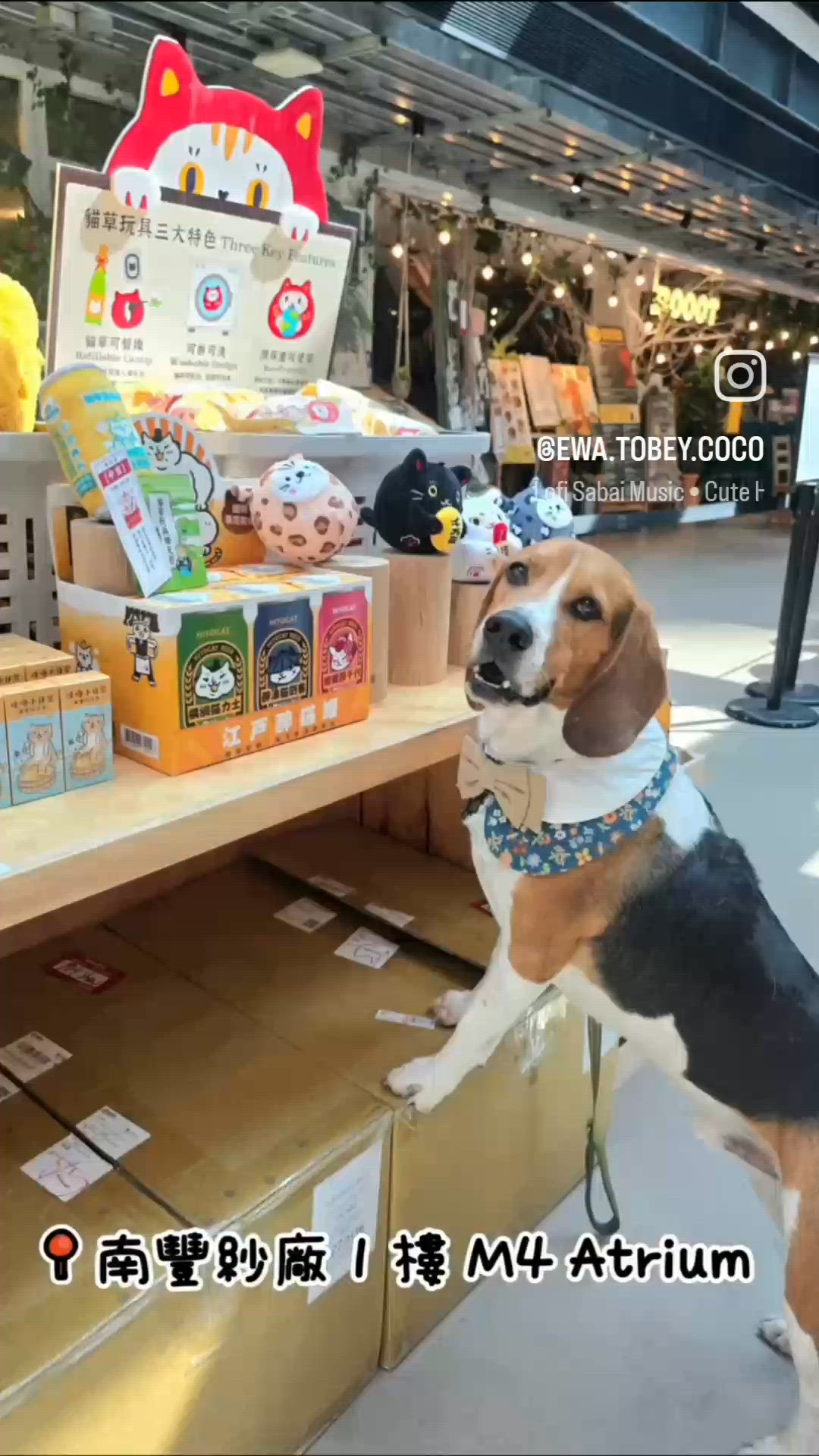 「台灣來了人寵市集」, 可以去買返份情人節禮...