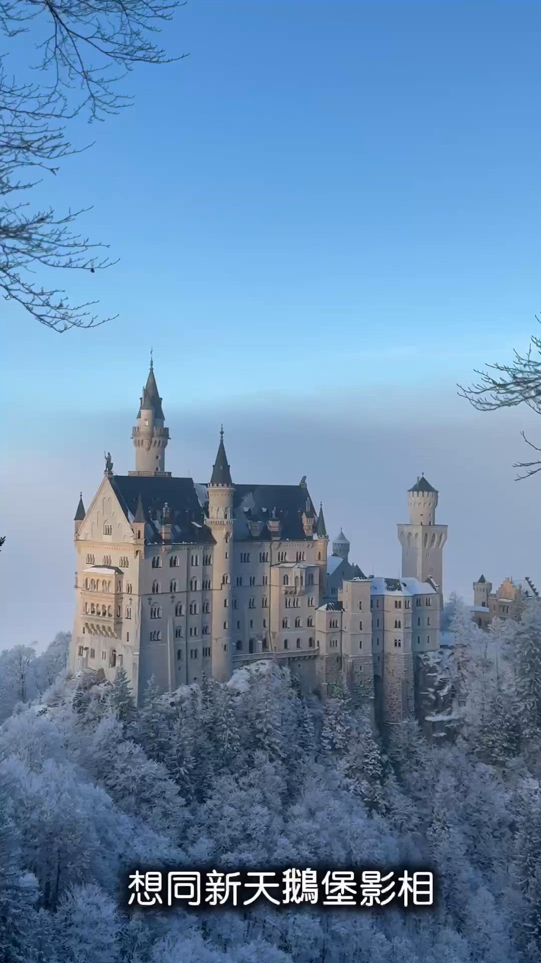 夢幻城堡🏰童話成真✨