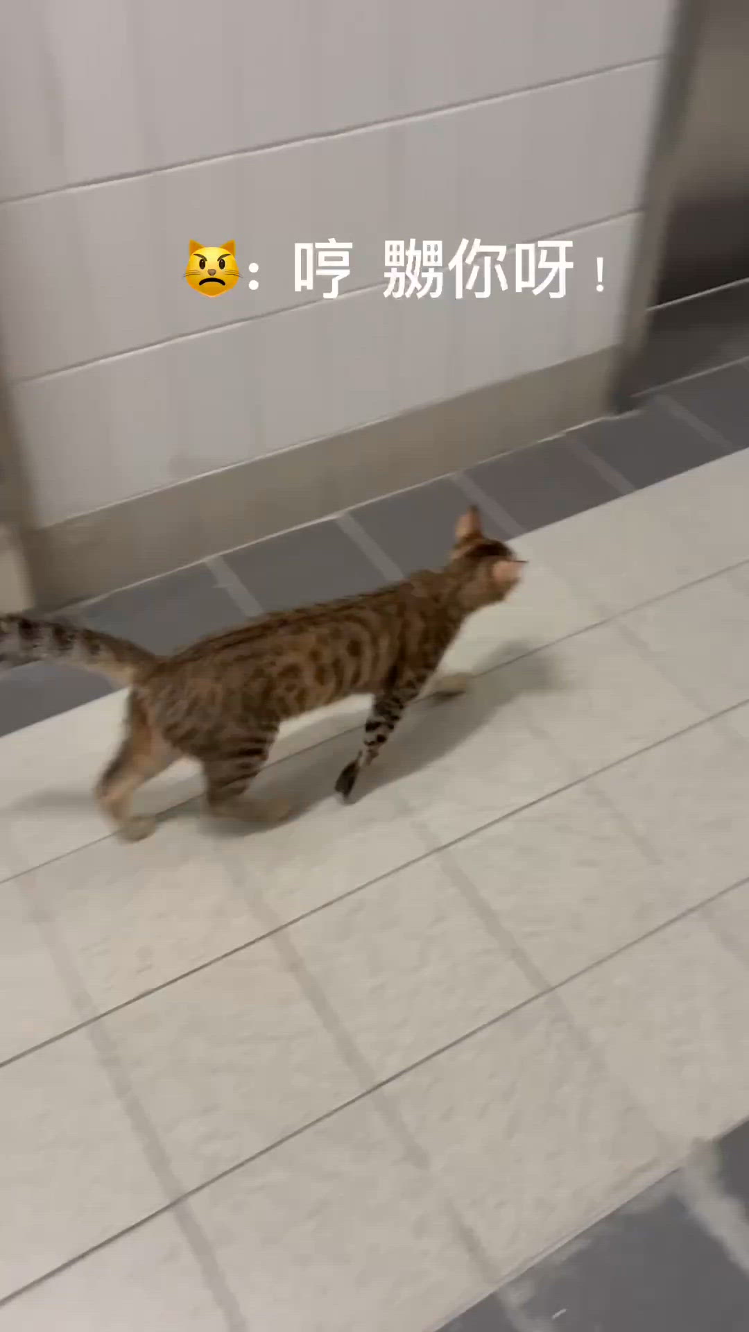 雲媽閒遊錄 🌃✨｜週三快活谷賽馬夜🐎