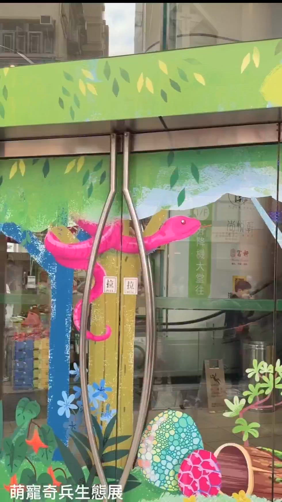 熱帶森林遇見牠們！🐸🐢