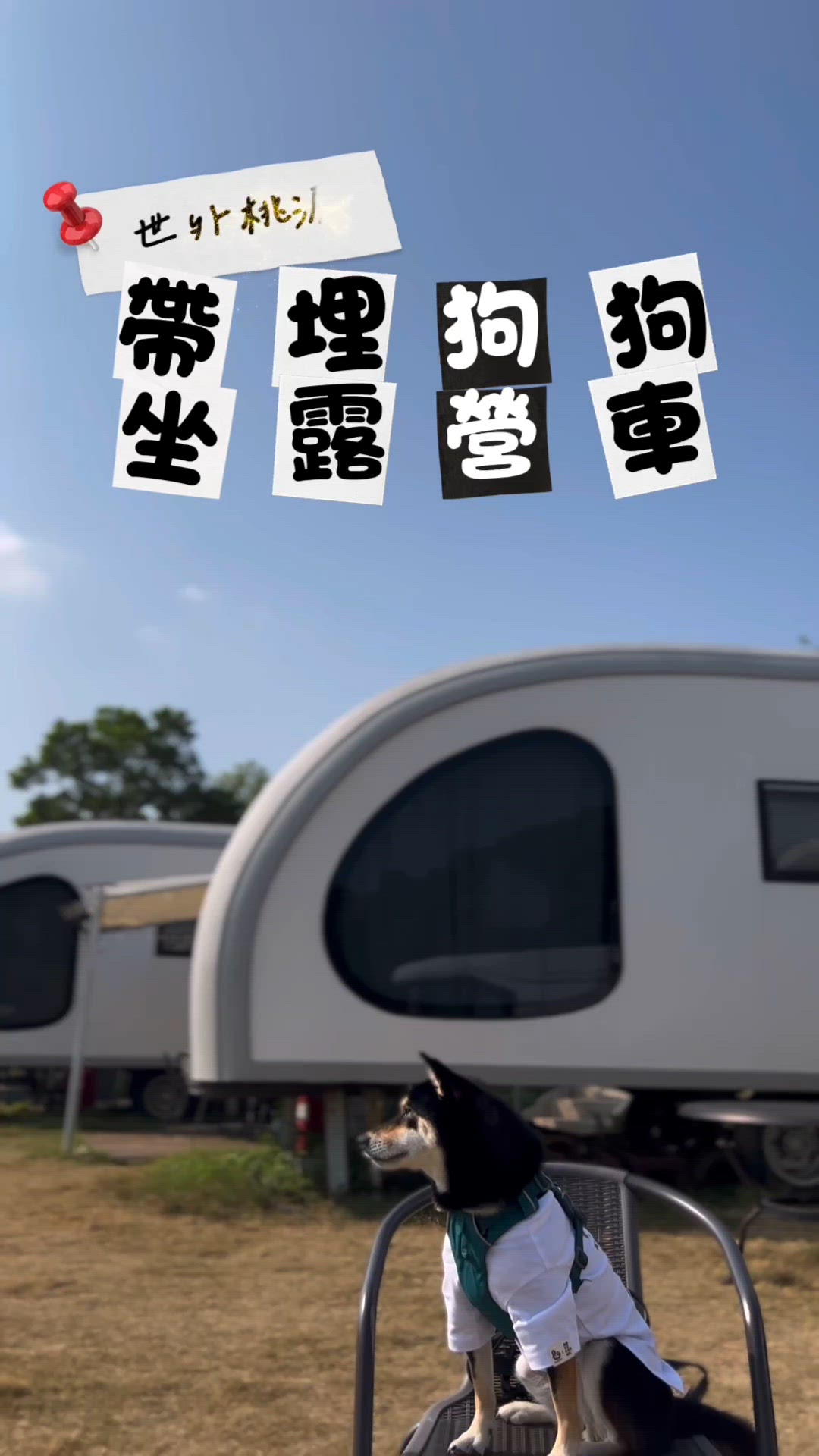 帶埋狗狗住露營車 🏕️