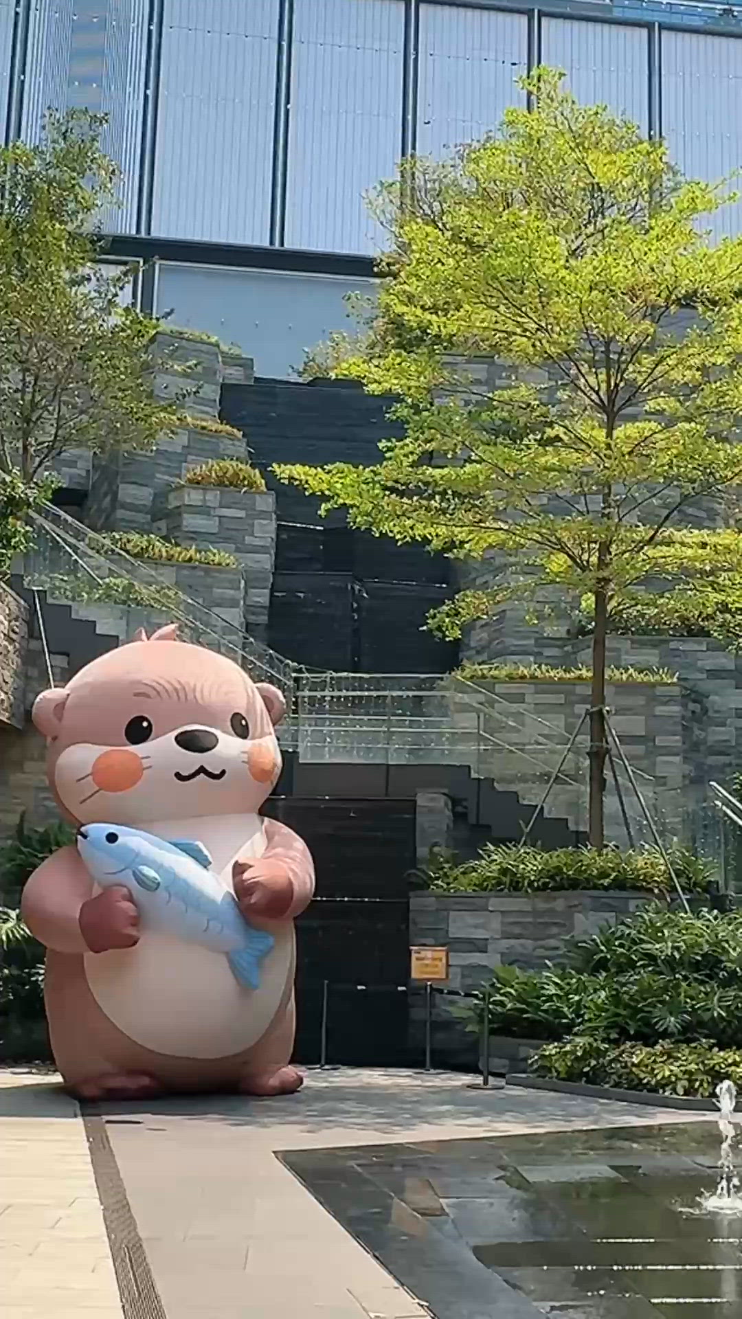 水獺TAluru出沒注意!! 