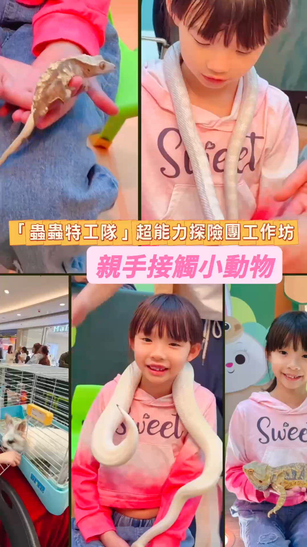 沈浸式放電學嘢互動🦎「蟲林世界親子樂🐍」